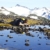 LifeStraw® Personal - Persönlicher Wasserfilter - 