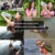 Wasserfilter Outdoor, ECHTPower 1500L Mini Tragbarer Persönlicher Wasserfilter Wasseraufbereitung Wasserreiniger für Wandern, Trekking, Camping, Reisen und Notbereitschafts, Survival Kit - 