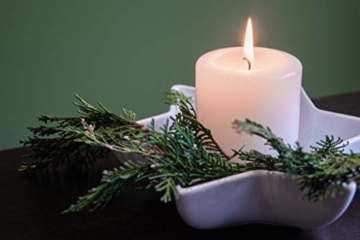 Stumpenkerzen Elfenbein Säulenkerzen Blockkerzen, Durchmesser 6 cm, Höhe 12 cm, geruchsneutral, lange Brenndauer 38h, Set 6 Stück (1 Box) - 4