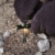 WOLFGANGS Feuerstahl Outdoor XXL - Feuerstein Survival mit extra starkem Paracord - Outdoor Feuerstarter Survival - Outdoor Firestarter extrem langlebig - Starker Funkenflug Feuer bei jedem Wetter - 6