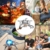 AUTOPkio Campingkocher 3500W, Winddicht Gas Campingkocher mit Piezozündung Faltbar Gaskocher Gasbrenner mit Adapter Gasherd für Outdoor Picknick Trekking Hiking Wandern - 7