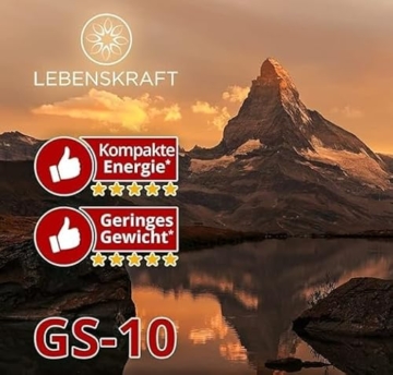 GS-10 Emergency Food Notfallnahrung MRE | Großkarton 12x500g | extrem lange haltbare Energieriegel | Notvorrat - Lebensmittel für Survival-Ausrüstung und Survival Kit - 5